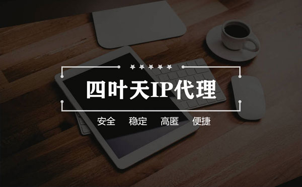 【云浮代理IP】如何快速搭建代理IP？怎么检查代理的效果？